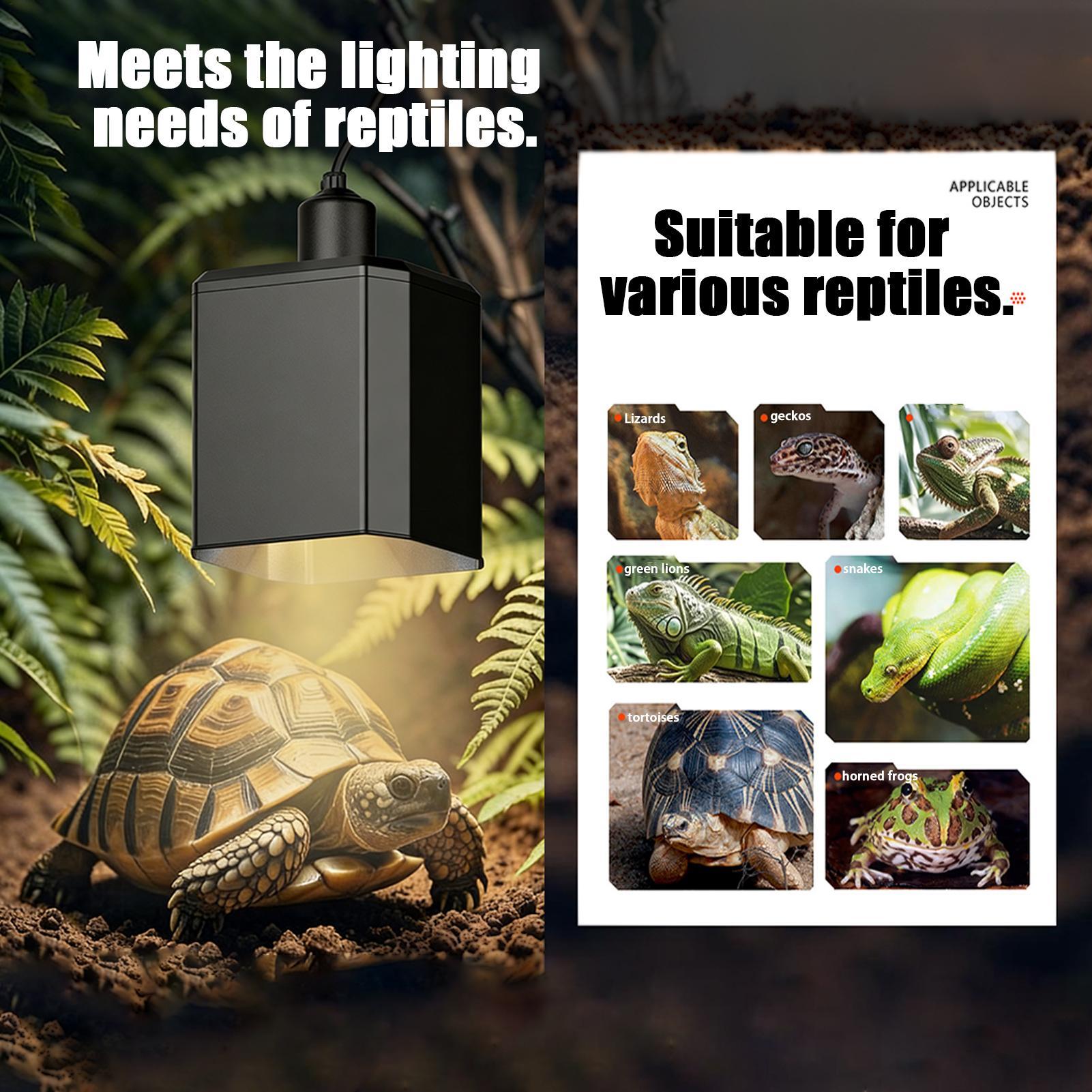 Reptile Heat Lamp Cover Reptil - Gecko Lighting & Decor review and price