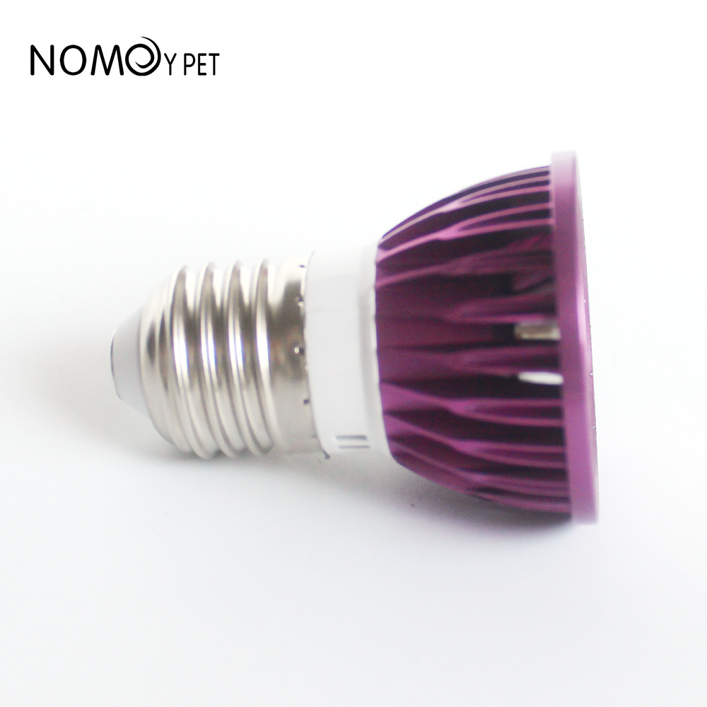 NOMOY Moonlight LED Night Ligh - Gecko Lighting & Decor review and price